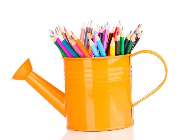 Color pencils in watering can isolated on white — Stock Photo, Image