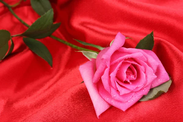 Hermosa rosa sobre tela roja — Foto de Stock