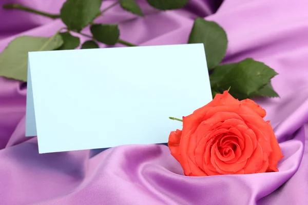 Bela rosa em pano lilás — Fotografia de Stock