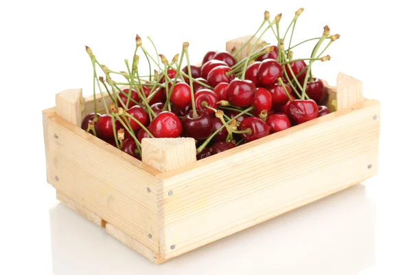 成熟的樱桃浆果中孤立在白色的板条箱 — 图库照片