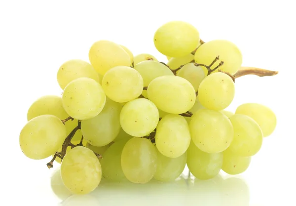 Érett zöld szőlő izolált fehér — Stock Fotó