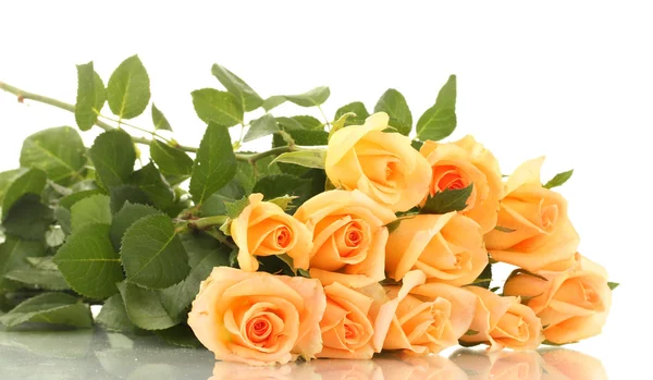 Vacker bukett rosor isolerade på vit — Stockfoto