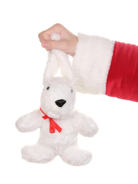 Jultomten handen håller leksak kanin isolerad på vit — Stockfoto