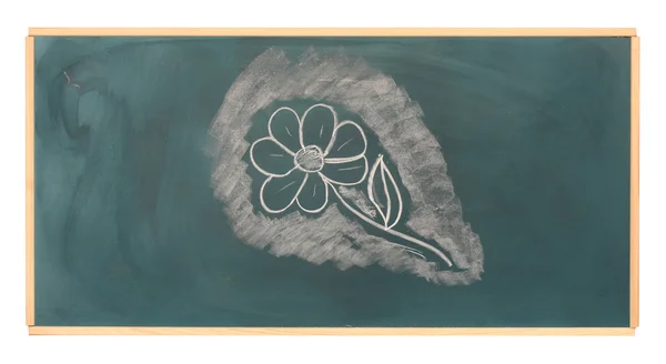 Blackboard with drawing flower isolated on white — Stock Photo, Image