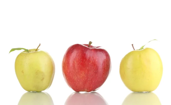 Três maçãs suculentas isoladas em branco — Fotografia de Stock