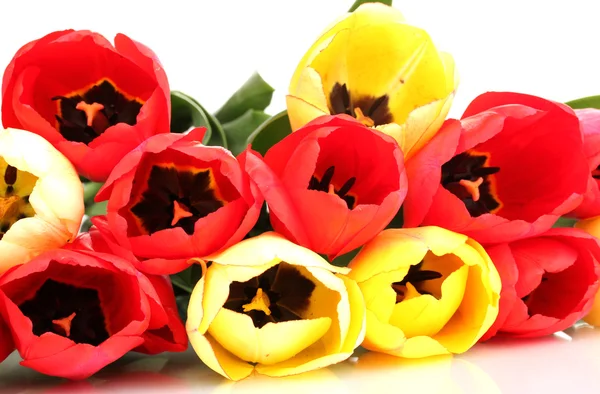Hermosos tulipanes aislados en blanco — Foto de Stock