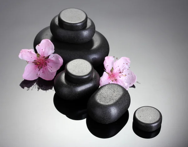 Piedras de spa y flores de sakura rosa sobre fondo gris — Foto de Stock