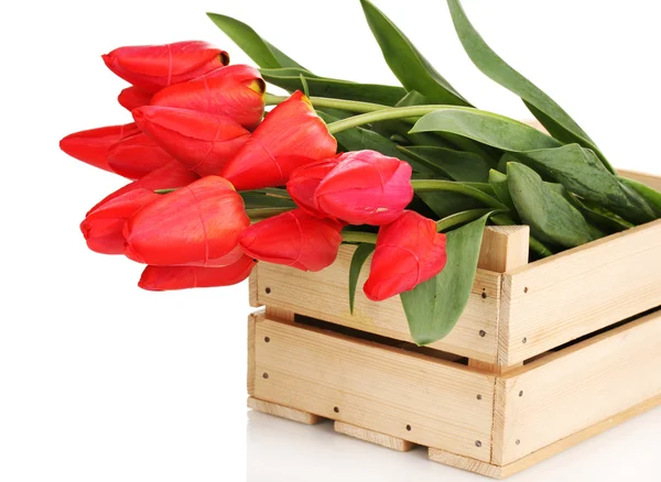 Hermosos tulipanes en caja aislada en blanco —  Fotos de Stock