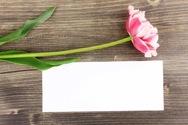 Linda tulipa e cartão no fundo de madeira — Fotografia de Stock