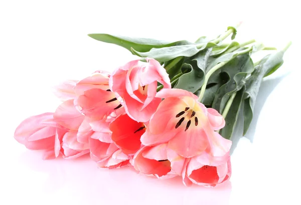 Красивые розовые тюльпаны изолированы на белом — стоковое фото