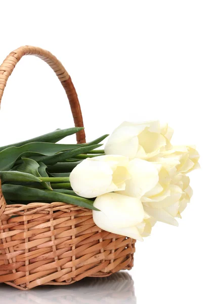 Piękne tulipany w kosz na białym tle — Zdjęcie stockowe