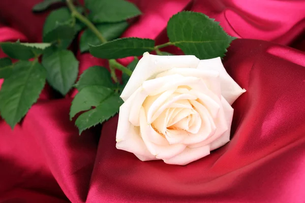 Nádherná růže na červenou látkou — Stock fotografie