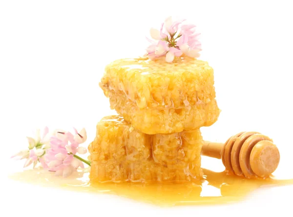 Petos de miel dorados, flores silvestres y rociadores de madera con miel aislada en blanco —  Fotos de Stock