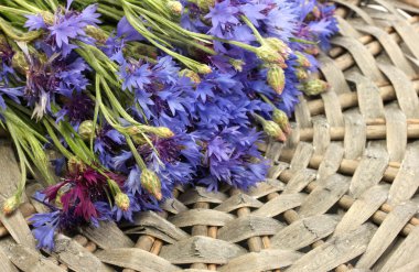 peygamber olarak gri backgraund