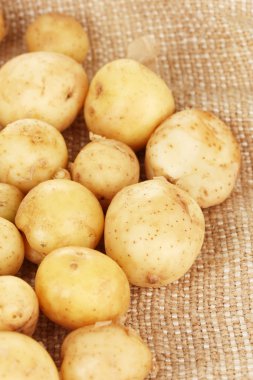Young potatoes on canvas close-up clipart