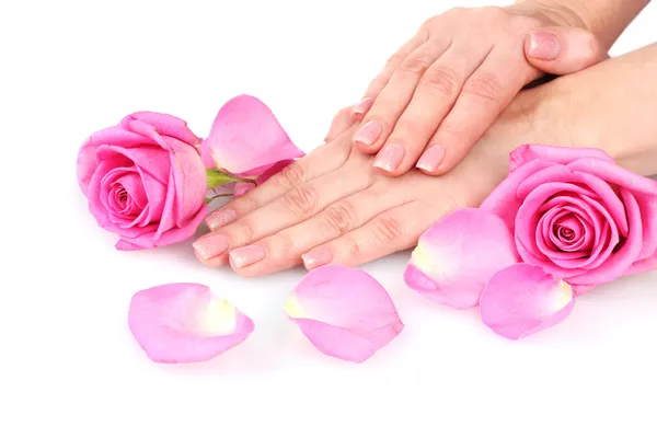 Rosa y las manos aisladas en blanco — Foto de Stock