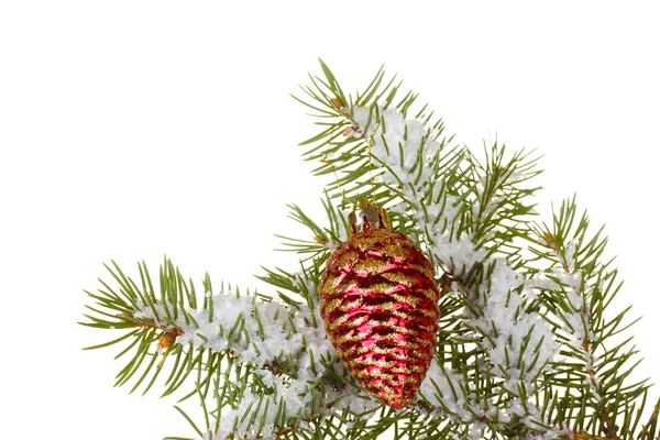 Χριστούγεννα κώνου στο δέντρο σε λευκό φόντο — Φωτογραφία Αρχείου