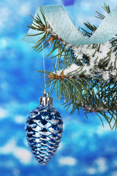 Boże Narodzenie stożek na drzewie na niebiesko — Zdjęcie stockowe