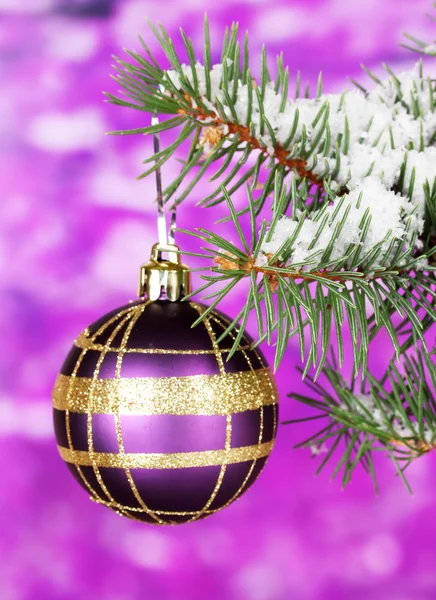 Christmas ball on the tree on purple — Stock Photo, Image