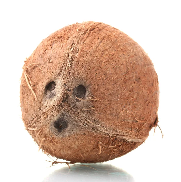 ? oconut isolerad på vit — Stockfoto