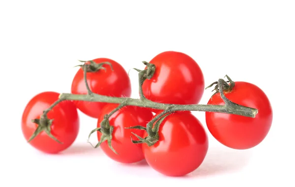 白で隔離される枝に美しいチェリー トマト — ストック写真