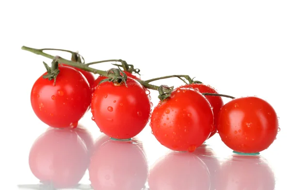 美丽的樱桃番茄被隔绝在白色的分支 — 图库照片