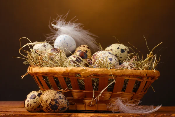 Quail eggs in nest on wooden table on brown background — Stock Photo, Image