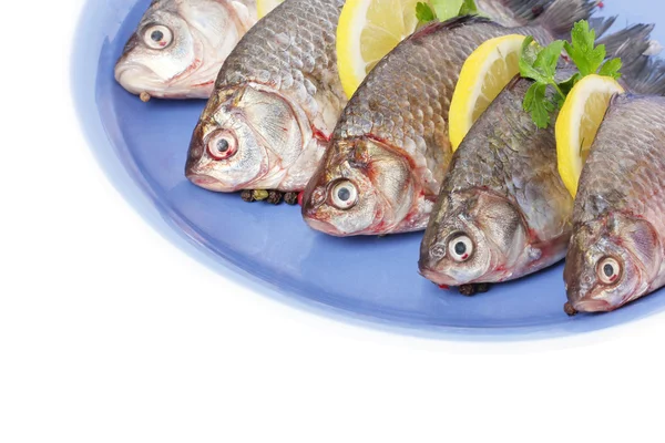 Verse vissen met citroen en peterselie op plaat geïsoleerd op wit — Stockfoto