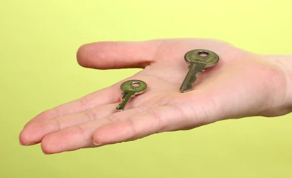 Keys in hand on green background