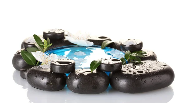 Composition des pierres de spa, de l'eau bleue, des pétales et des feuilles isolés sur blanc — Photo