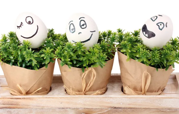 Ovos brancos com rostos engraçados em arbustos verdes — Fotografia de Stock