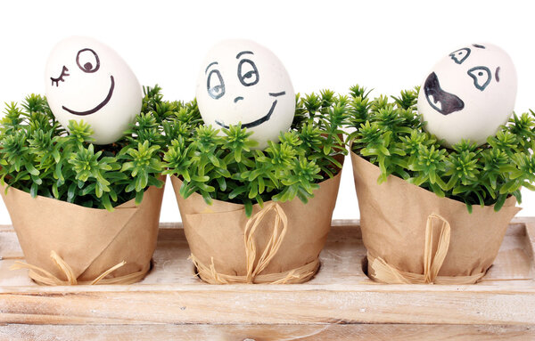Белые яйца со смешными лицами на зеленых кустах
