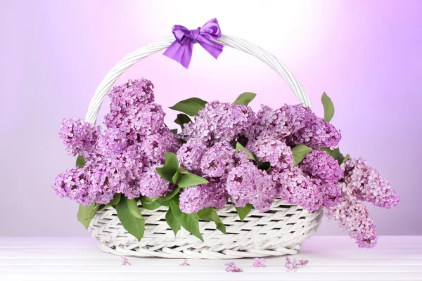 Mooie lila bloemen in mand op paarse achtergrond — Stockfoto