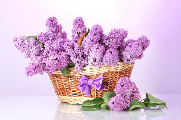 Beautiful lilac flowers in basket on purple background — Stock Photo, Image
