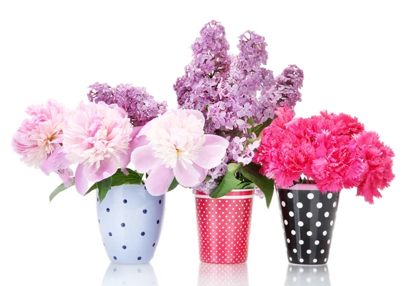 Beautiful spring flowers in cups isolated on white — Stock Photo, Image