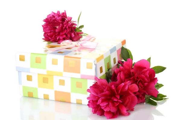 선물 상자 흰색 절연에 Beautirul 핑크 모란 — 스톡 사진