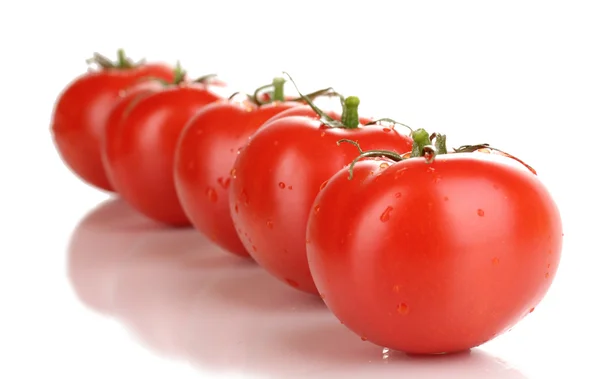 Beyaz renkte taze domatesler. — Stok fotoğraf