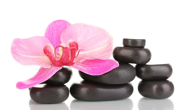 Wellness-Steine mit Orchideenblüte isoliert auf weiß — Stockfoto