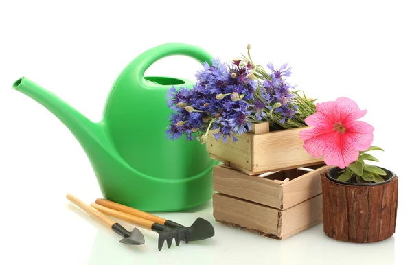 Gieter, tools en bloemen geïsoleerd op wit — Stockfoto