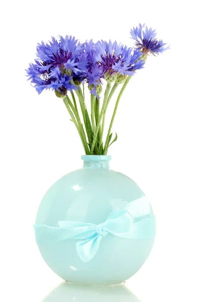 Búzavirág-elszigetelt fehér váza — Stock Fotó