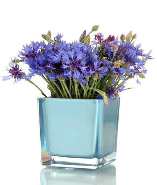 Cornflowers in vase isolated on white — Stock Photo, Image