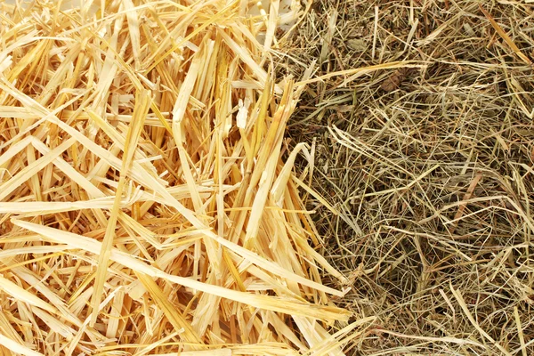 黄金の干し草とわらテクスチャ背景のクローズ アップ — ストック写真