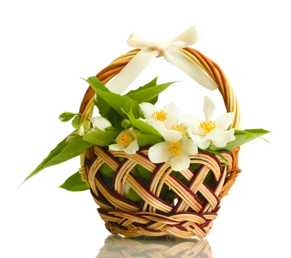 Hermosas flores de jazmín con hojas en cesta, aisladas en blanco —  Fotos de Stock
