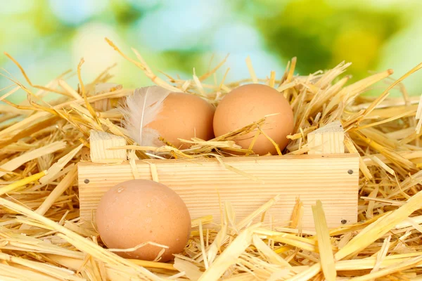 Bruin eieren in een houten doos op stro op groene achtergrond — Stockfoto