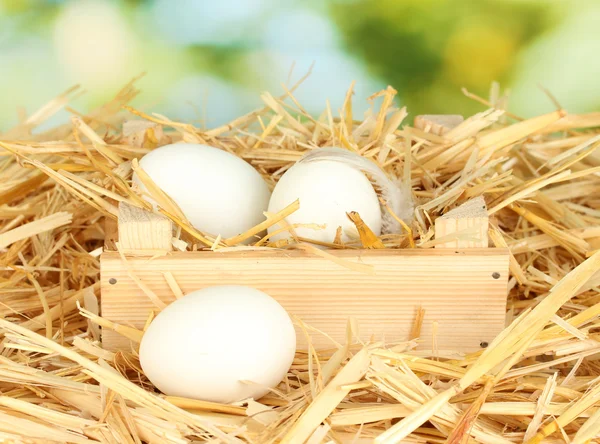 Bílá vejce v dřevěné krabici na slámu na zeleném pozadí detail — Stock fotografie