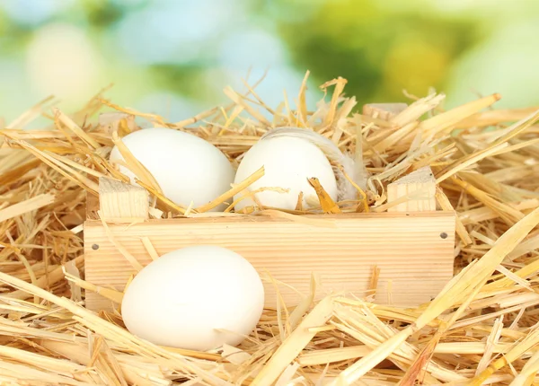 White eggs in a wooden box on straw on green background close-up — Stock Photo, Image