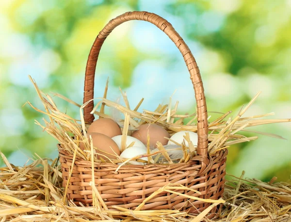 Weiße und braune Eier in einem Weidenkorb auf Stroh auf grünem Hintergrund — Stockfoto