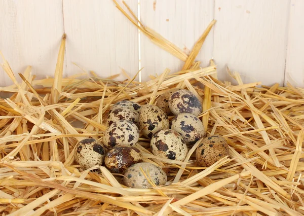 Перепелиные яйца в соломе на белом деревянном фоне — стоковое фото