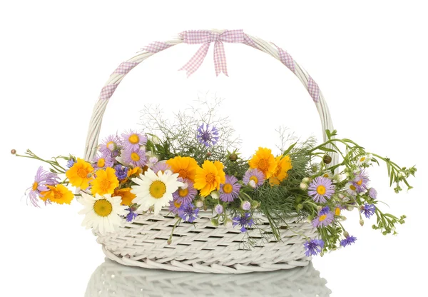 Beautiful bouquet of bright wildflowers in basket, isolated on white — Stock Photo, Image