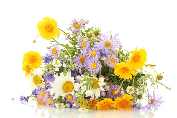 Belo buquê de flores silvestres brilhantes, isolado em branco — Fotografia de Stock